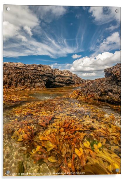 Seaweed & Sky, Anglesey, North Wales  Acrylic by David Macdiarmid