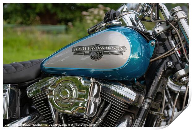 Harley Davidson Print by David Macdiarmid