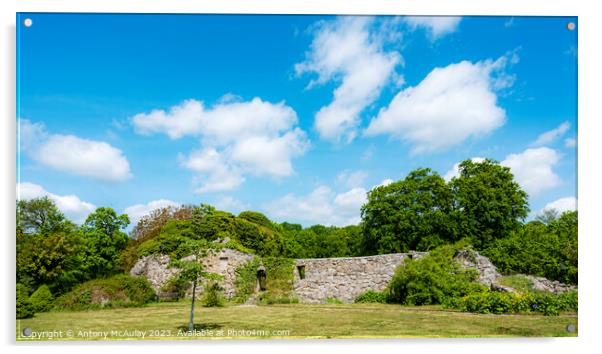 Gyllebo Castle Ruin Panorama Acrylic by Antony McAulay