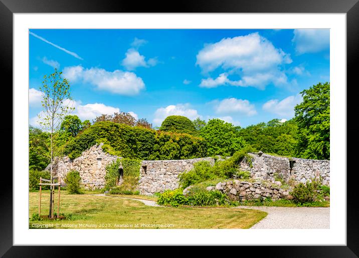 Gyllebo Castle Ruin Framed Mounted Print by Antony McAulay