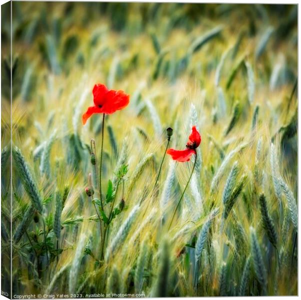 Lonely Poppies. Canvas Print by Craig Yates