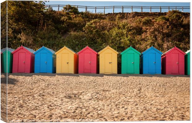 Colourful beach huts at Llanbedrog Beach Canvas Print by David Macdiarmid