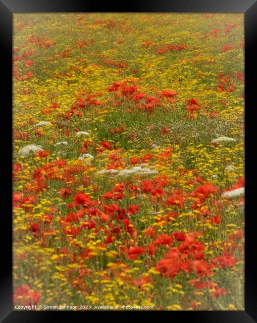 Outdoor field Framed Print by Simon Johnson