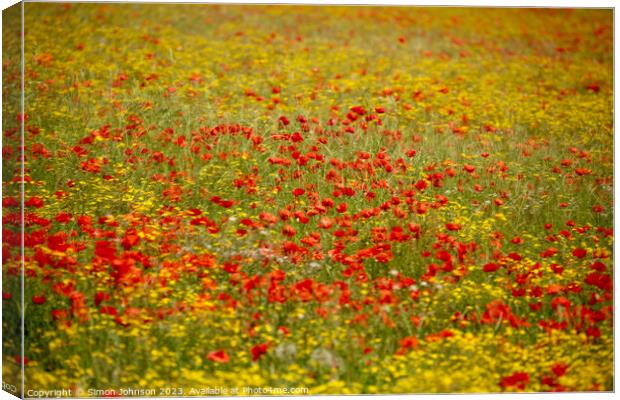 Outdoor field Canvas Print by Simon Johnson