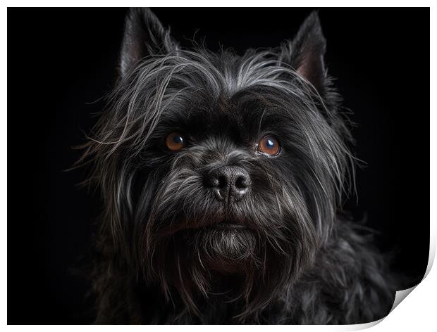 Affenpinscher Print by Steve Smith