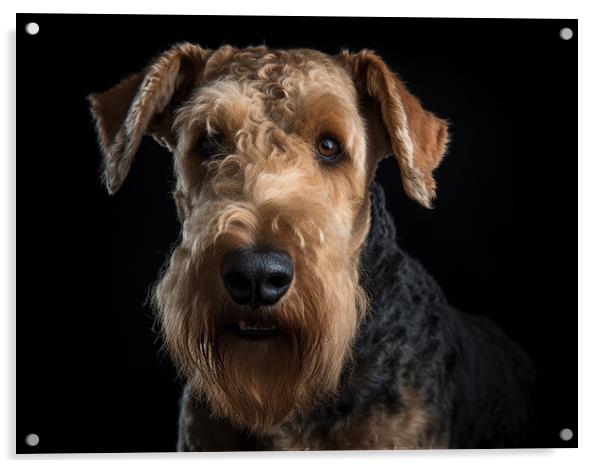 Airedale Terrier Acrylic by Steve Smith
