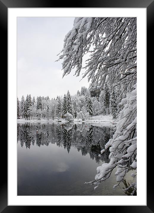 Wintery reflections Framed Mounted Print by Ian Middleton