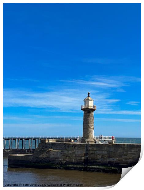 Whitby Print by Tom Lloyd