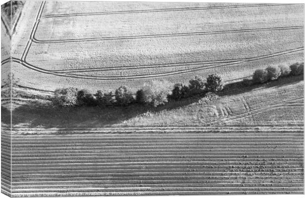 English Farm Aerial View  Canvas Print by David Pyatt