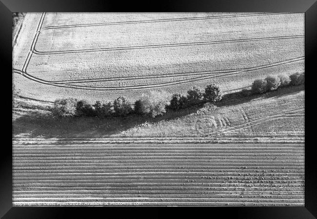 English Farm Aerial View  Framed Print by David Pyatt