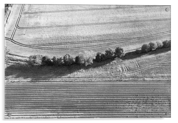 English Farm Aerial View  Acrylic by David Pyatt