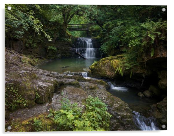 A secret waterfall Acrylic by Leighton Collins