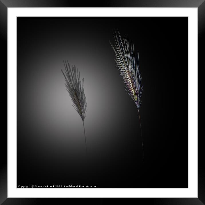 Grass Framed Mounted Print by Steve de Roeck