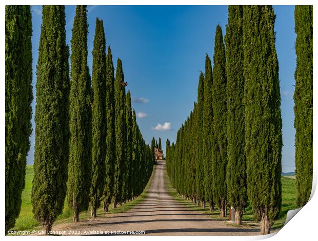 Views travelling around Tuscany, Italy  Print by Gail Johnson