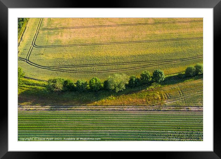 English Farm Pattern Matrix  Framed Mounted Print by David Pyatt