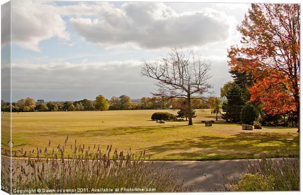 Avery Hill Park Canvas Print by Dawn O'Connor