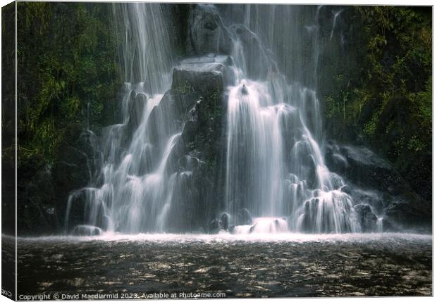 Llanberis Waterfall, Wales Canvas Print by David Macdiarmid