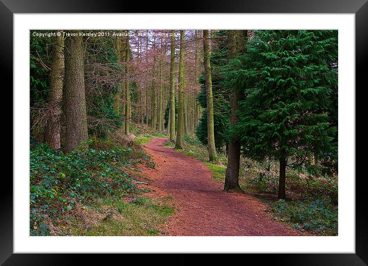 Walk Through the Trees Framed Mounted Print by Trevor Kersley RIP