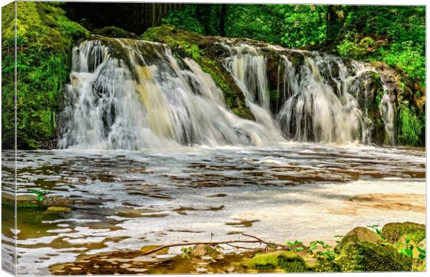 Amazing Arbirlot Waterfall After the Rain Canvas Print by DAVID FRANCIS