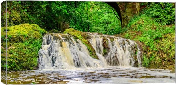 Spectacular Arbirlot Waterfall After the Rain Pano Canvas Print by DAVID FRANCIS