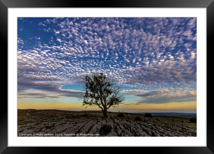 Lone Tree at Dusk Framed Mounted Print by Matt Jackson
