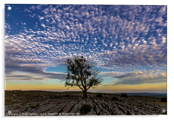 Lone Tree at Dusk Acrylic by Matt Jackson