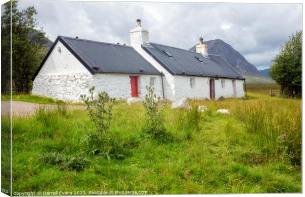 Black Rock Cottage and Thistles Canvas Print by Darrell Evans