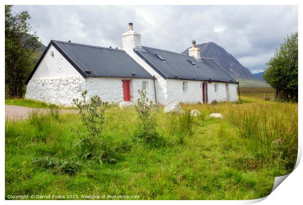 Black Rock Cottage and Thistles Print by Darrell Evans