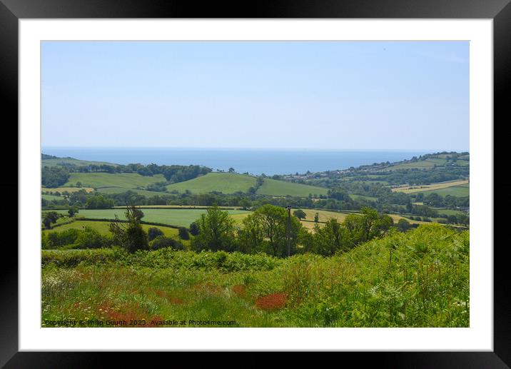 View from Fishponds in Dorset Framed Mounted Print by Philip Gough