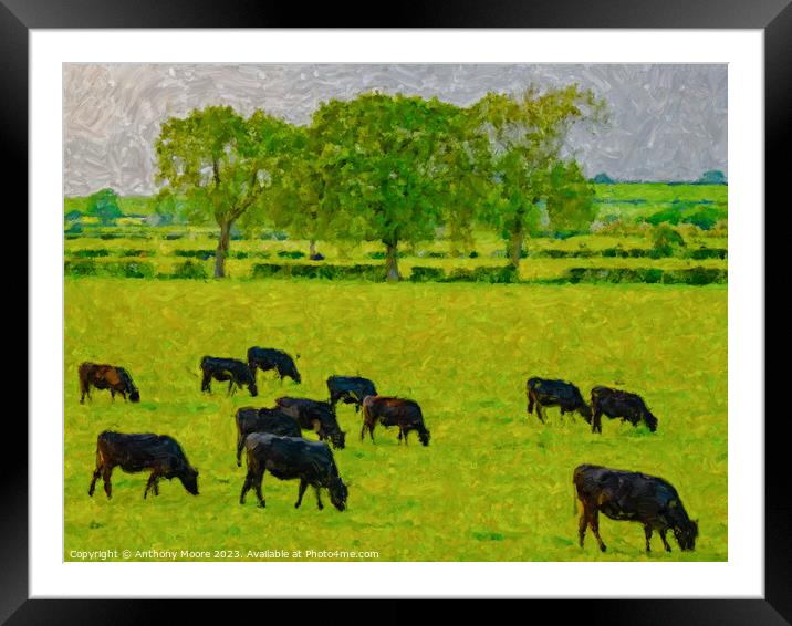 Evening Grazing. Framed Mounted Print by Anthony Moore