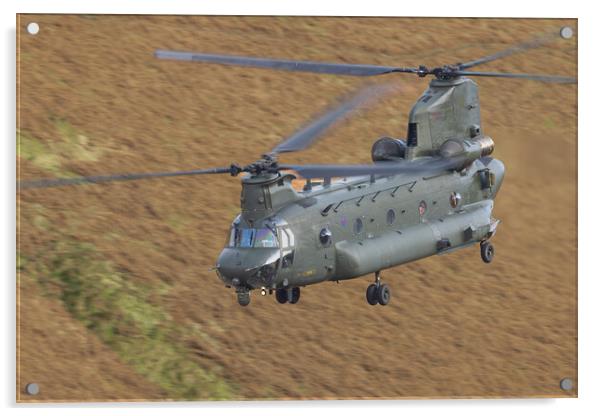 RAF Chinook Acrylic by Rory Trappe