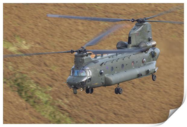 RAF Chinook Print by Rory Trappe