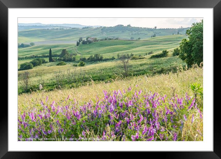 Views travelling around Tuscany, Italy  Framed Mounted Print by Gail Johnson