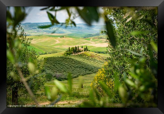 Views travelling around Tuscany, Italy  Framed Print by Gail Johnson