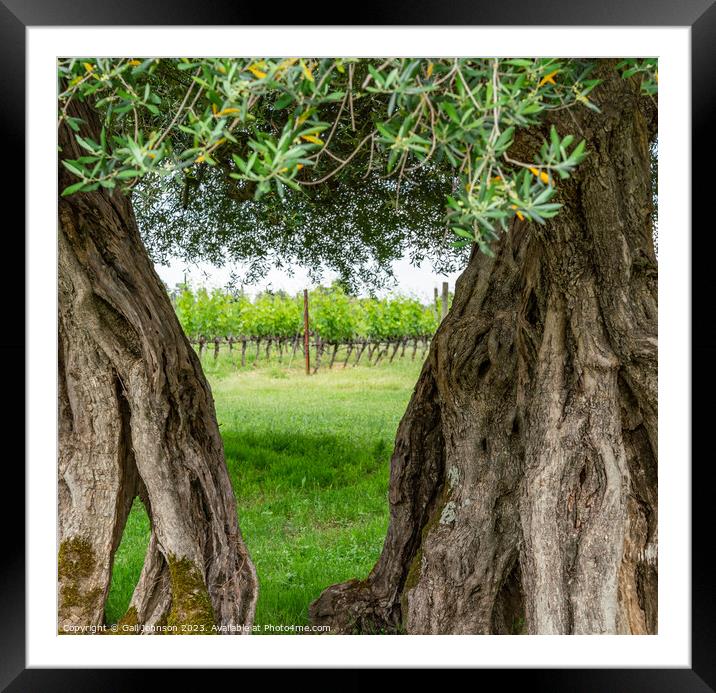 Views travelling around Tuscany, Italy  Framed Mounted Print by Gail Johnson