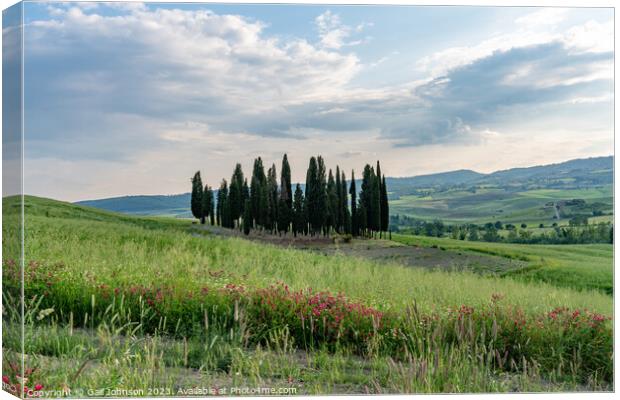 Views travelling around Tuscany, Italy  Canvas Print by Gail Johnson