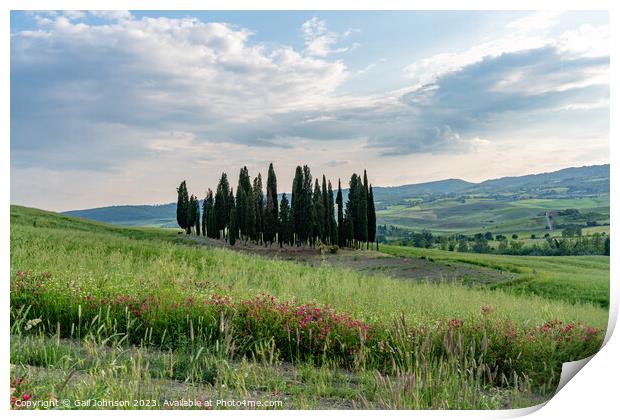 Views travelling around Tuscany, Italy  Print by Gail Johnson