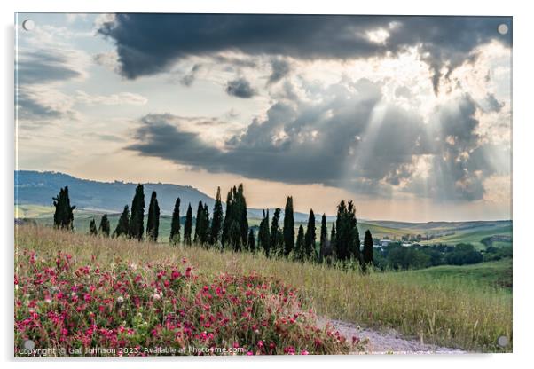 Views travelling around Tuscany, Italy  Acrylic by Gail Johnson