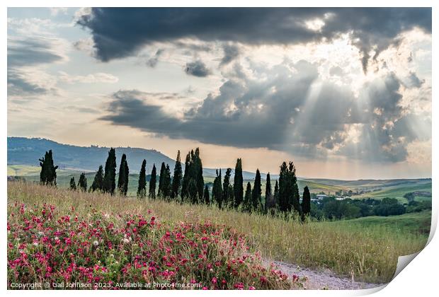 Views travelling around Tuscany, Italy  Print by Gail Johnson