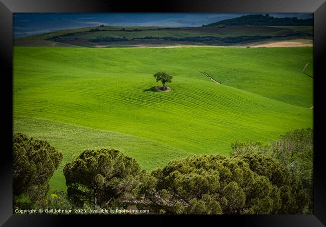 Views travelling around Tuscany, Italy  Framed Print by Gail Johnson