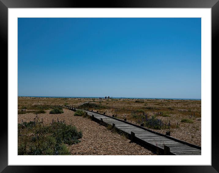 Dungeness Framed Mounted Print by Tom Lloyd