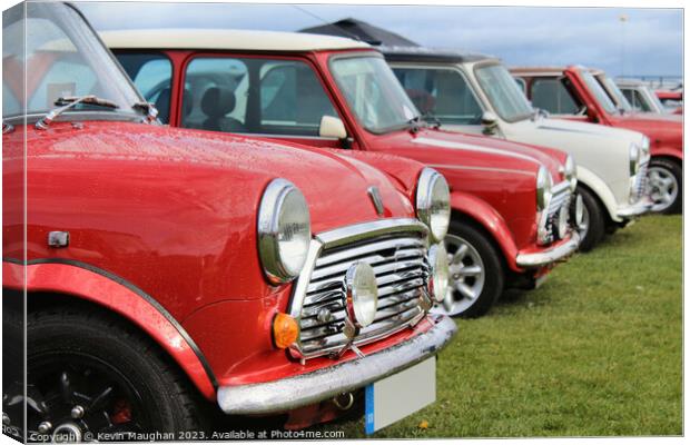 Mini's All In A Row Canvas Print by Kevin Maughan