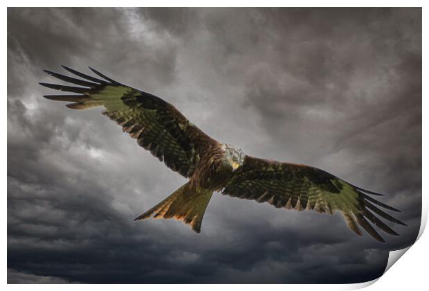 Soaring through the Clouds Print by Duncan Loraine