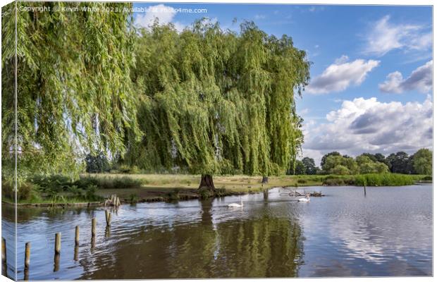 Weeping Willow tree growing on the bank of the pond Canvas Print by Kevin White