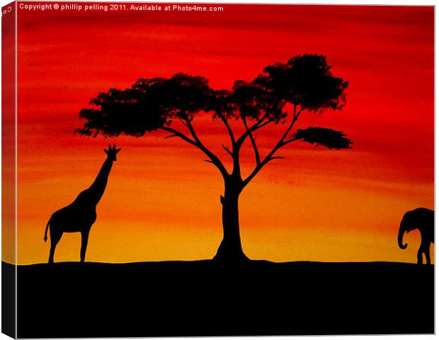 African sunset Canvas Print by camera man