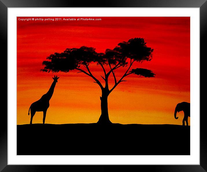 African sunset Framed Mounted Print by camera man