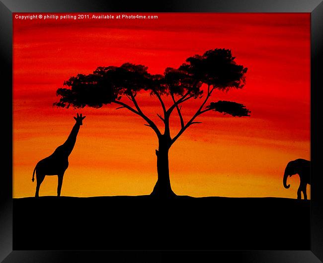 African sunset Framed Print by camera man