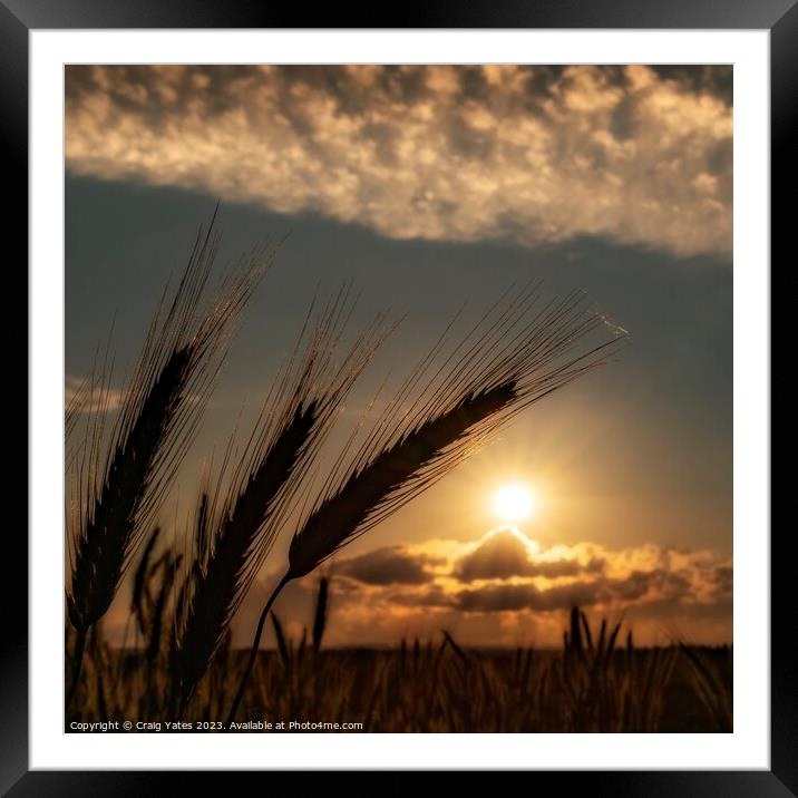 Sunset Fields Framed Mounted Print by Craig Yates