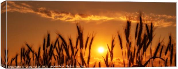 Golden Sunset Panoramic Canvas Print by Craig Yates