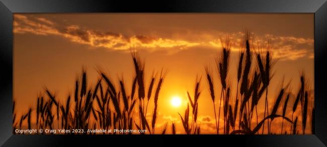 Golden Sunset Panoramic Framed Print by Craig Yates